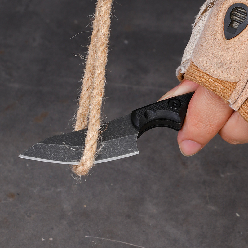 5CR15 Stainless Steel Small Fi - Edc Pocket Carry Fixed Blade のレビューと価格