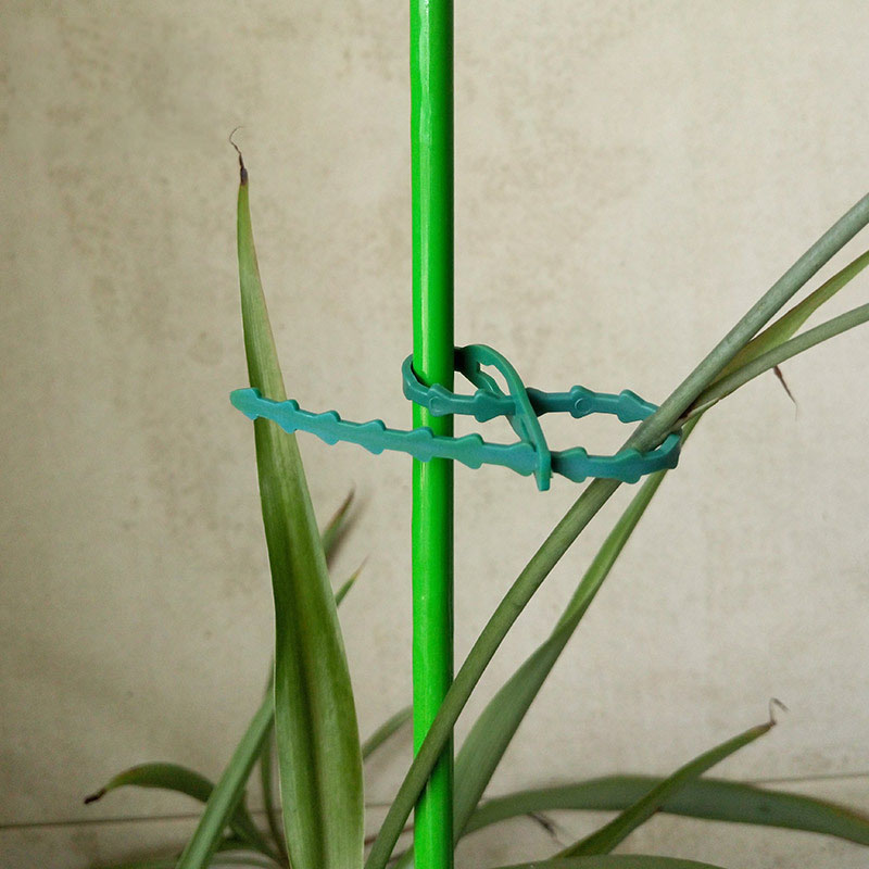 50/100Pcs Reusable Garden Cabl - Gear Tie Reusable のレビューと価格