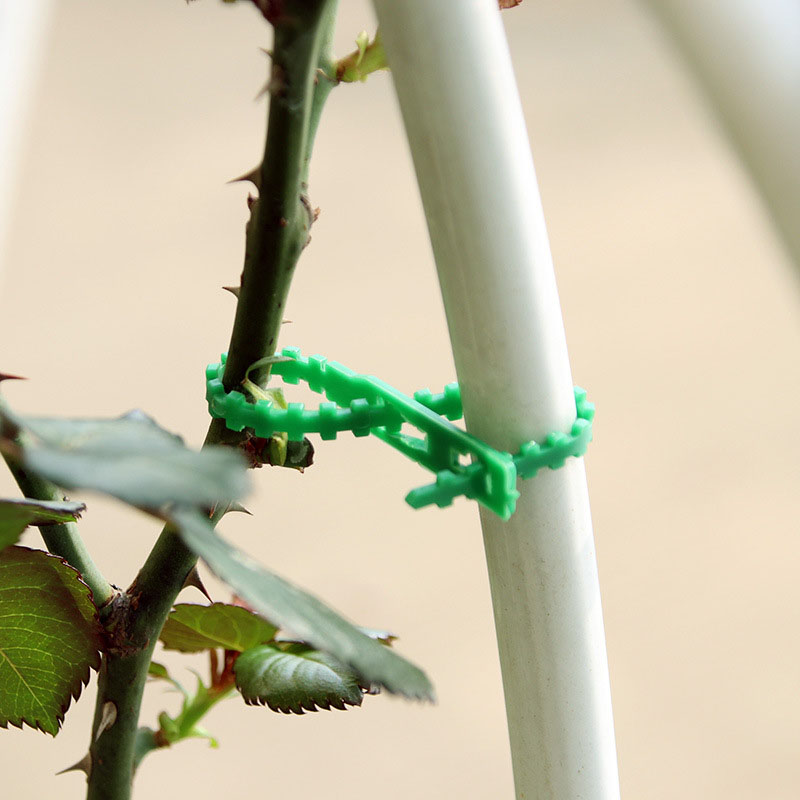 50/100Pcs Reusable Garden Cabl - Gear Tie Reusable のレビューと価格