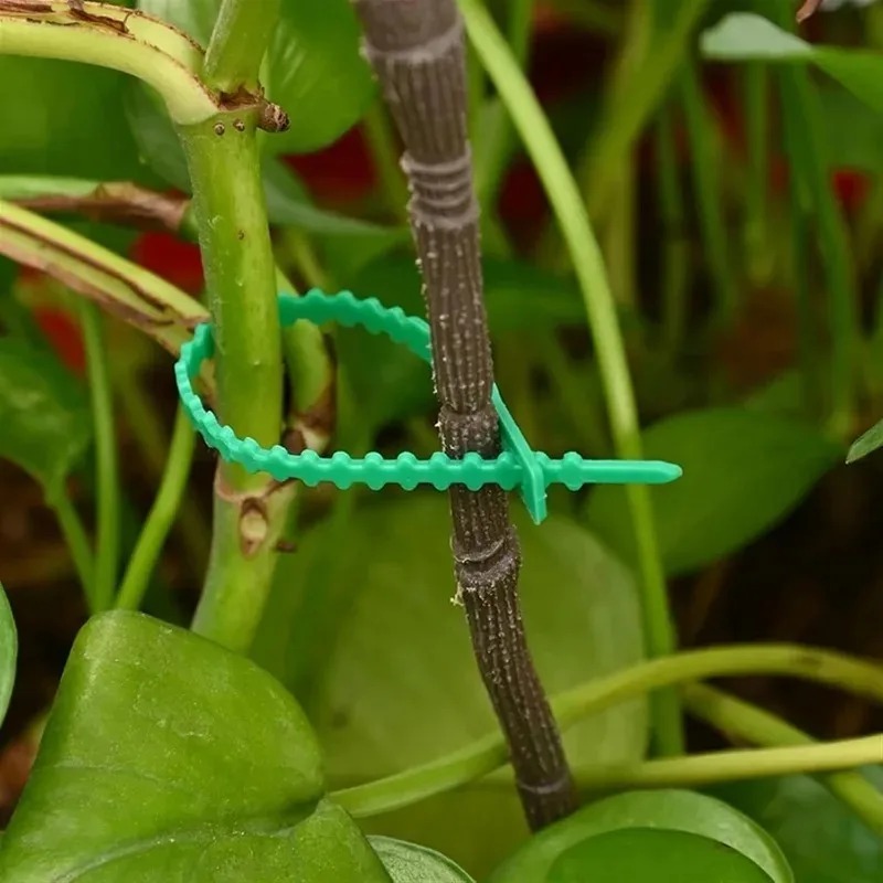 Reusable Garden Cable Ties Pla - Gear Tie Reusable のレビューと価格